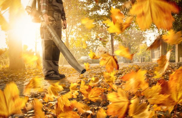 Leaf Blowing Service in Punta Gorda