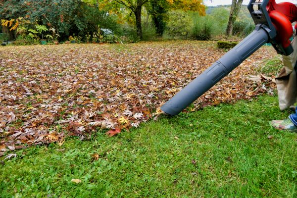 Leaf Vacuuming Service in Punta Gorda