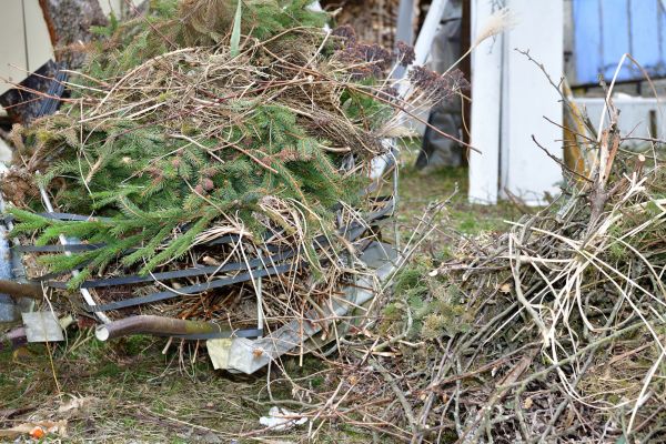 Yard Waste Removal Service in Punta Gorda
