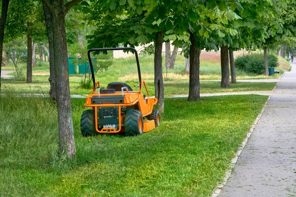Landscaping Cleanup Service in Punta Gorda