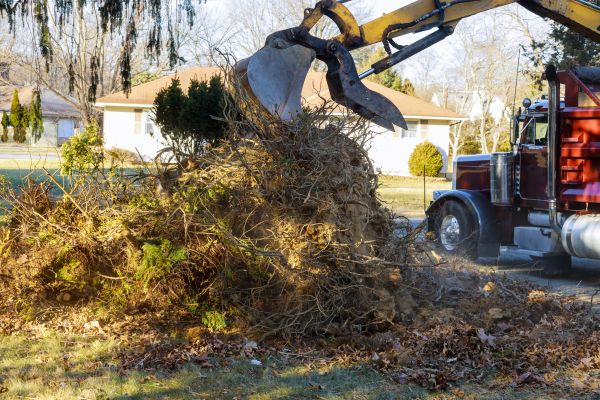 Storm Debris Removal in Punta Gorda