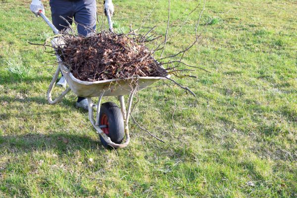 Yard Brush Removal in Punta Gorda