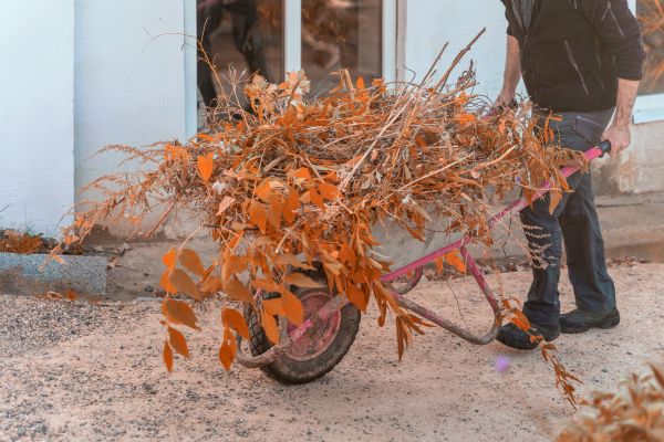 Cost of Lawn Debris Cleanup in Punta Gorda