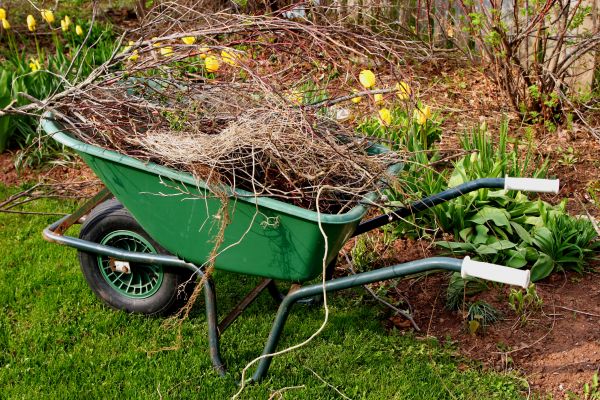 Lawn Waste Removal in Punta Gorda