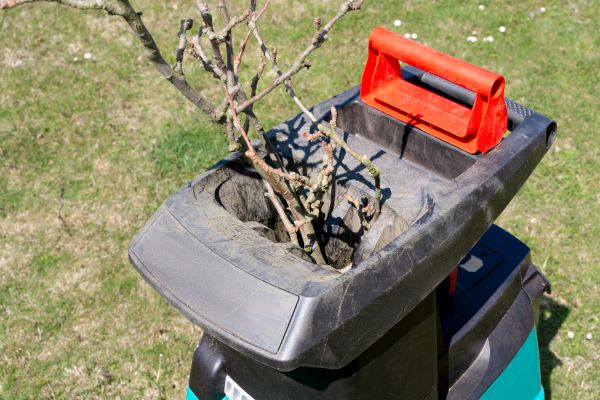 Cost of Brush Cleanup Service in Punta Gorda
