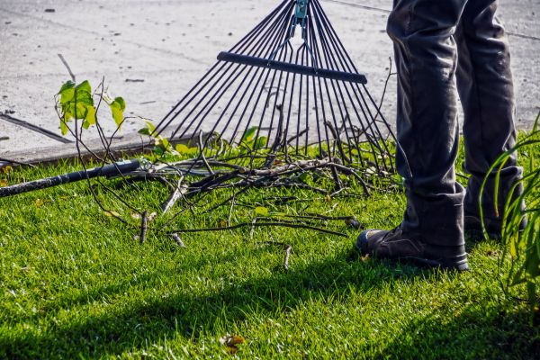Yard Debris Cleanup in Punta Gorda