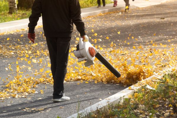 Commercial Leaf Removal in Punta Gorda