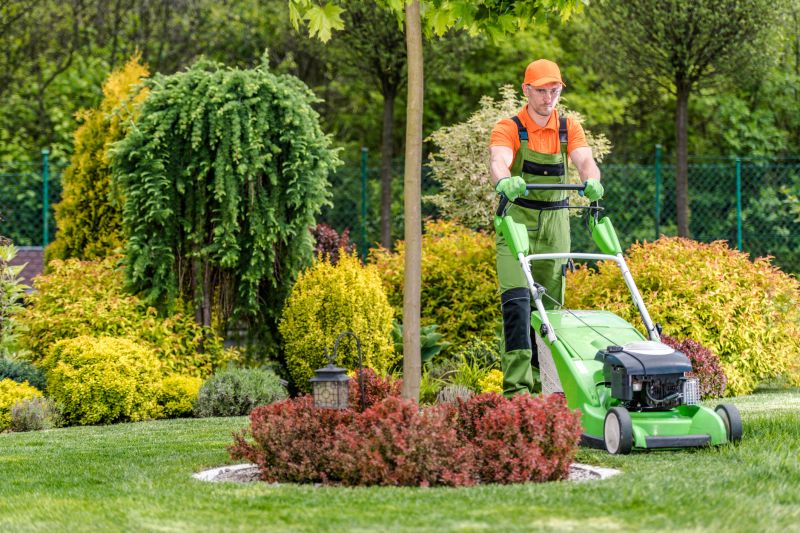 Lawn Cleanup Equipment